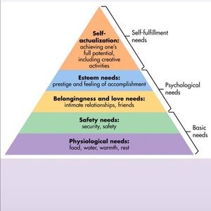 Meet your Posher, Darwin